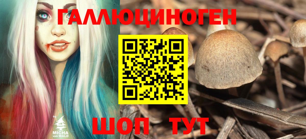 Галлюциногенные грибы ЛСД  купить   Тавда  Вход с VPN 